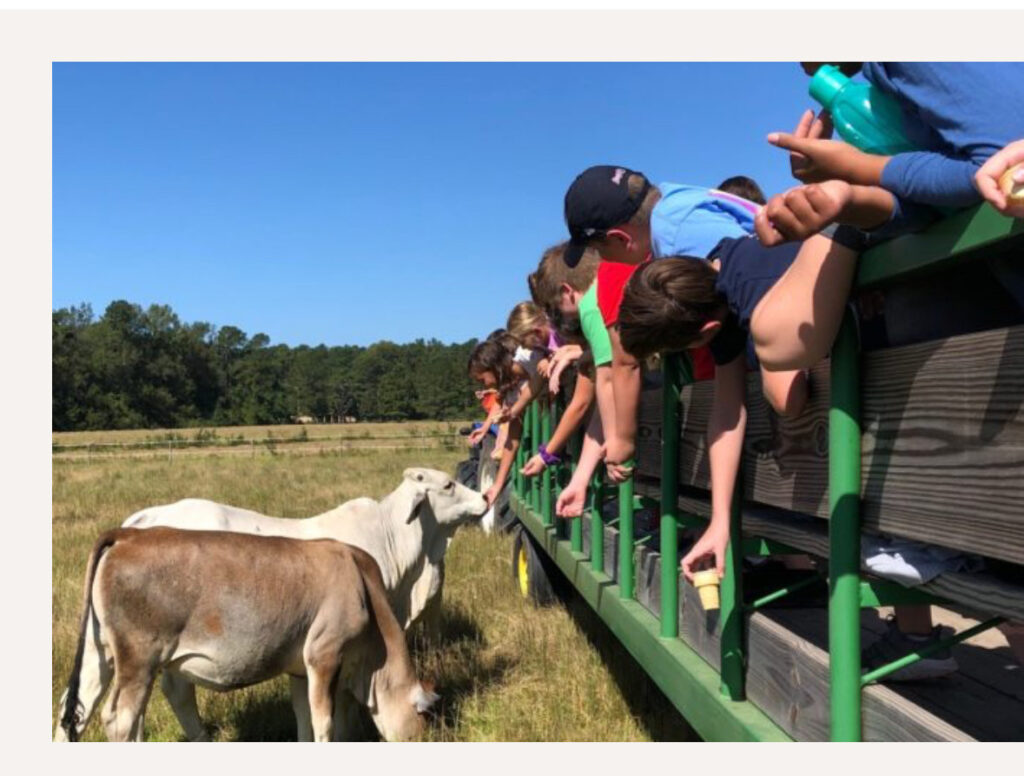 FALL FIELD TRIP - STAR FARM